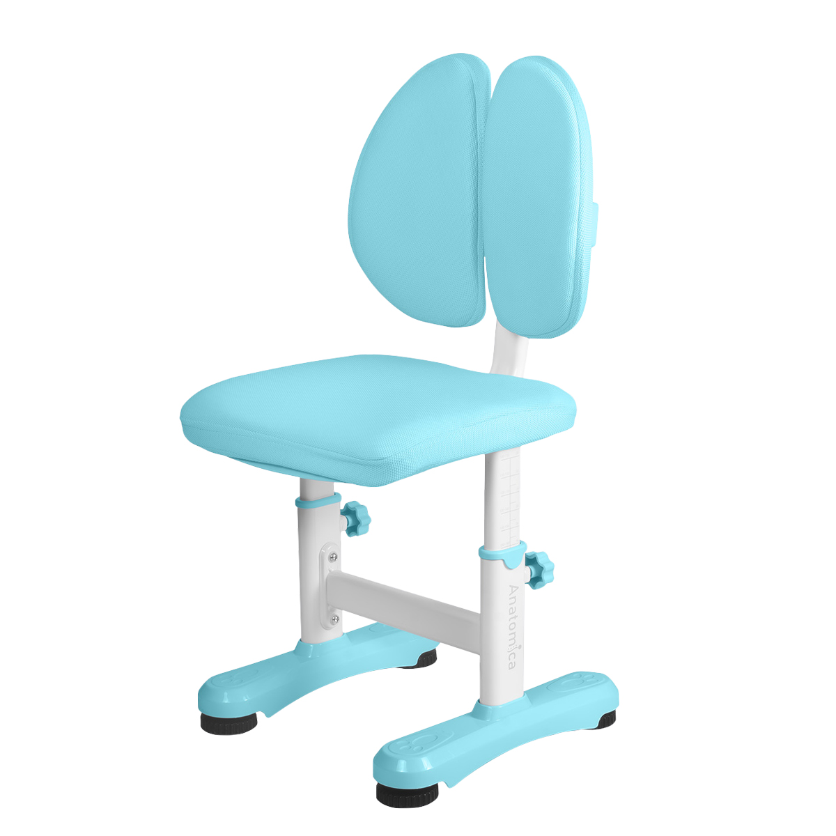 Растущий стул Anatomica Ergo Duos голубой