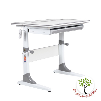 Растущая парта Anatomica Study-90 белый/серый