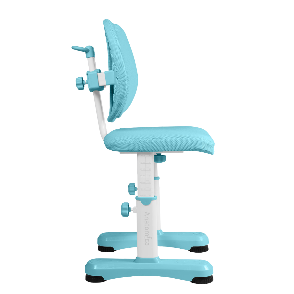 Растущий стул Anatomica Ergo Duos голубой