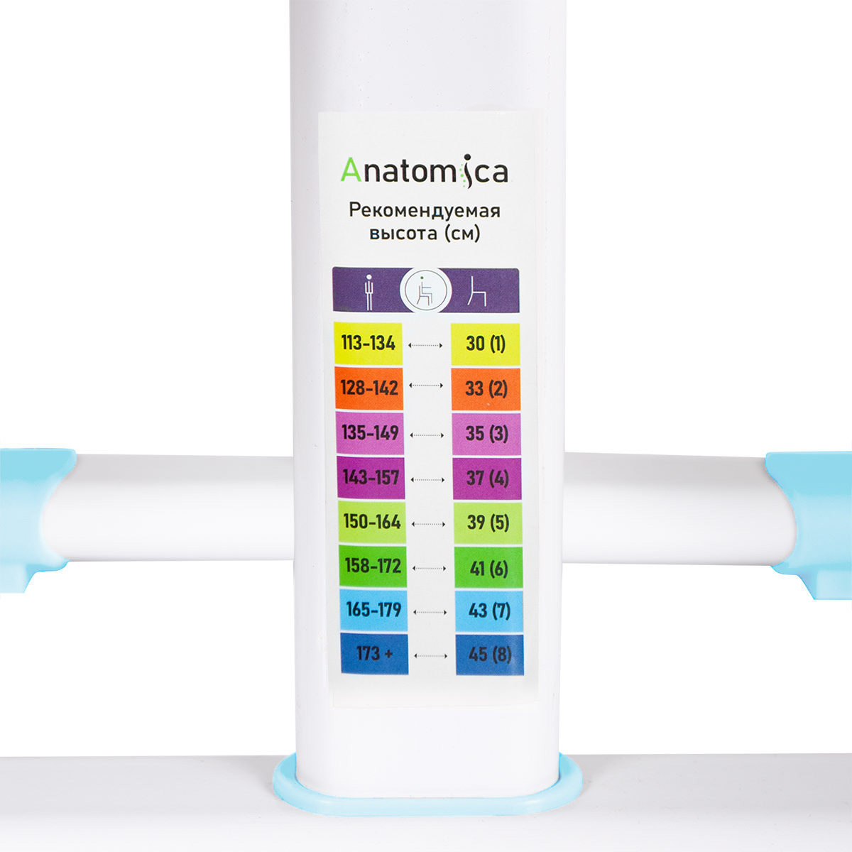 Растущий стул Anatomica Lux Pro голубой