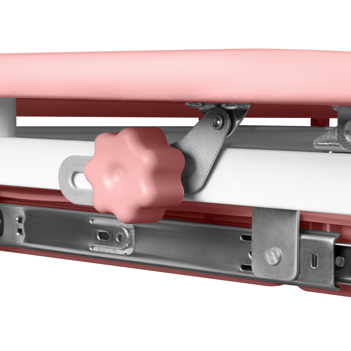 Комплект Anatomica Ara парта + стул + светильник + подставка для книг + выдвижной органайзер клен/розовый