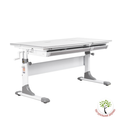 Детская парта Anatomica Practica белый/серый