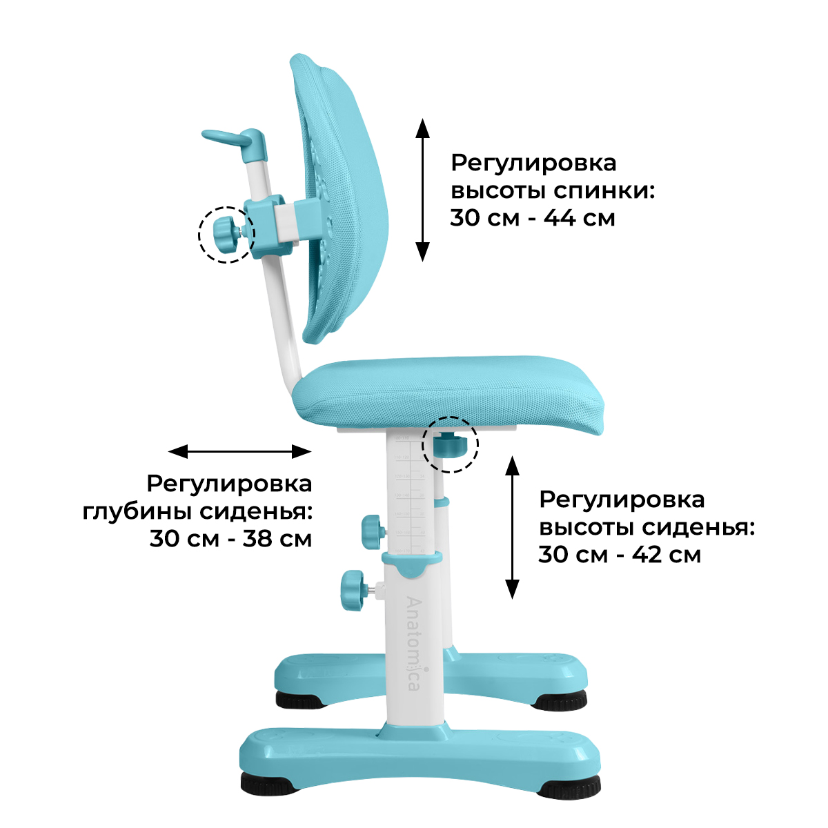 Растущий стул Anatomica Ergo Duos голубой