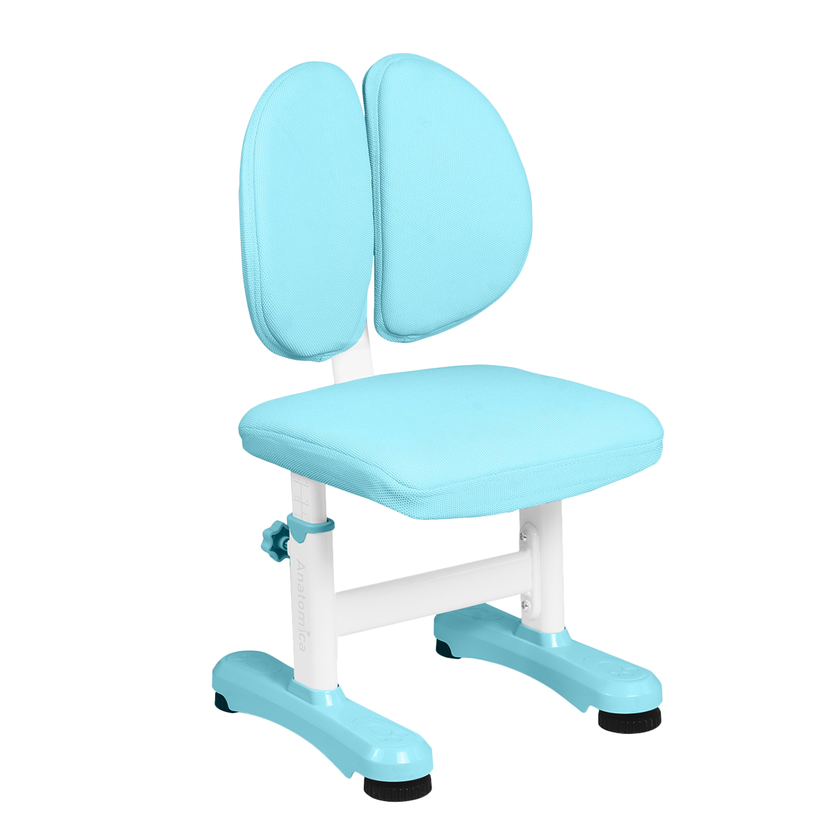 Растущий стул Anatomica Ergo Duos голубой