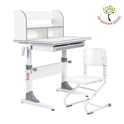 Комплект Anatomica Study-70 Plus парта + стул + надстройка белый/серый/белый
