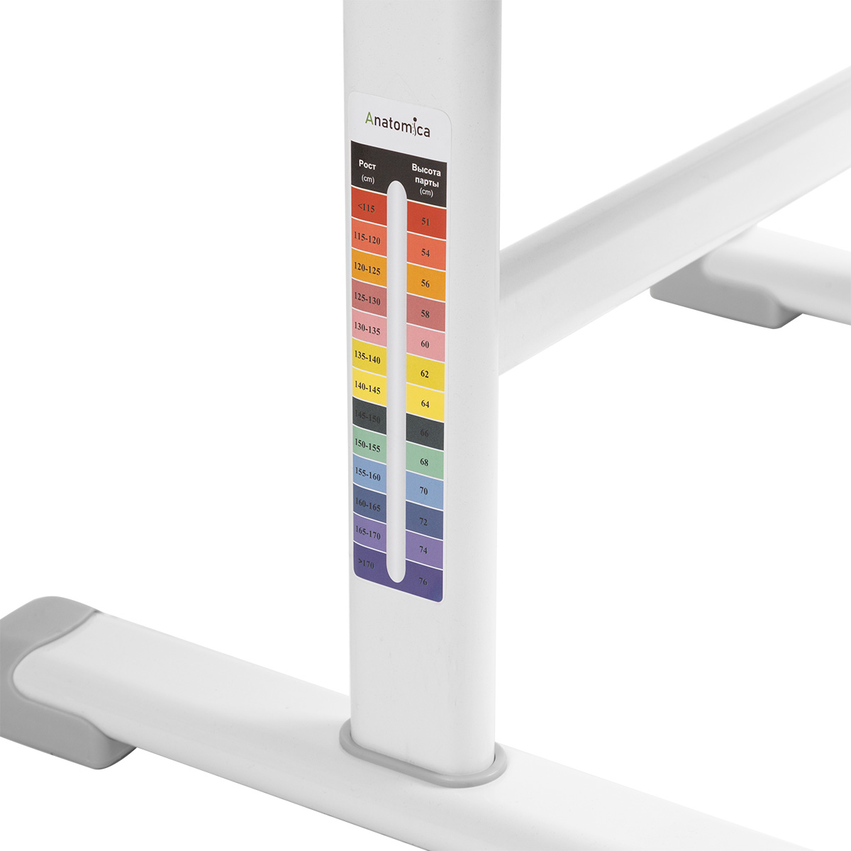 Комплект Anatomica Avgusta Comfort парта + стул + выдвижной ящик + подставка белый/серый