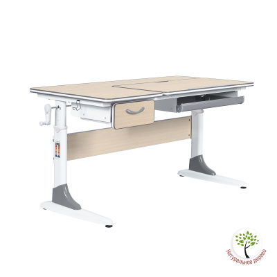 Парта Anatomica Study-120 клен/серый