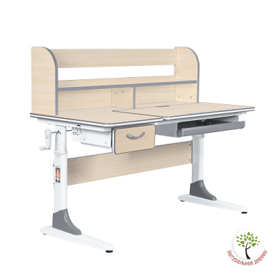 Парта Anatomica Study-120 Lux клен/серый