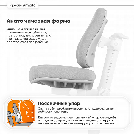 4. Анатомическая форма