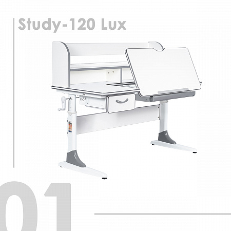 1. Anatomica Study-120 Lux