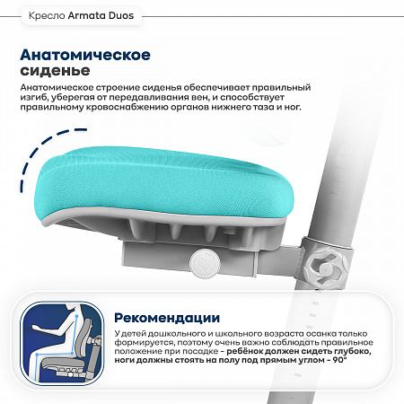 Анатомическое сиденье