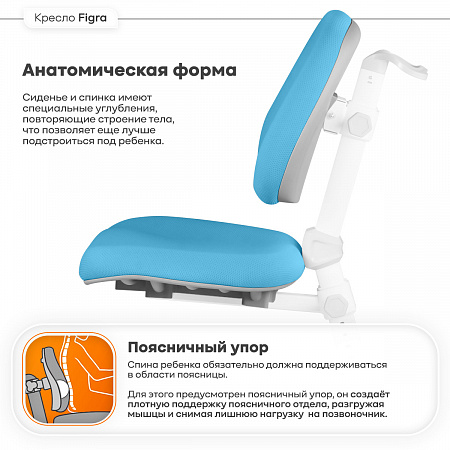 5. Анатомическая форма