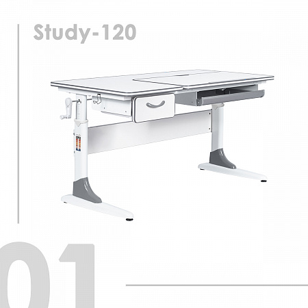 1. Anatomica Study-120