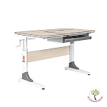 Растущая парта Anatomica Study-100 клен/серый