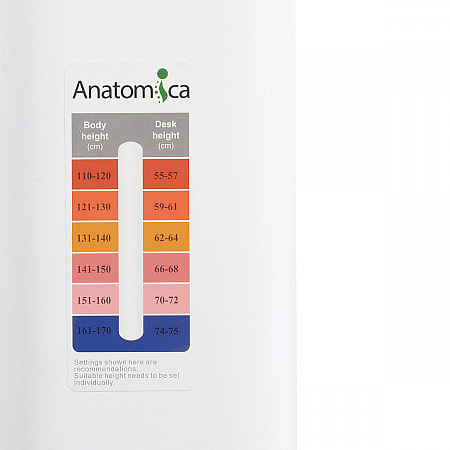 Ростовая шкала