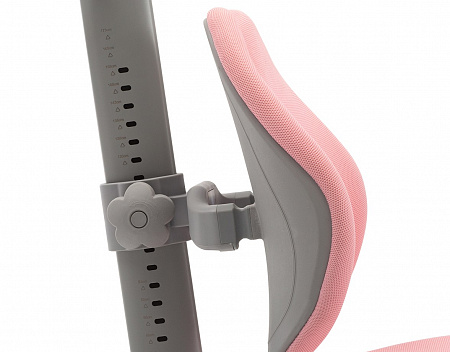 Спинка и регулировка