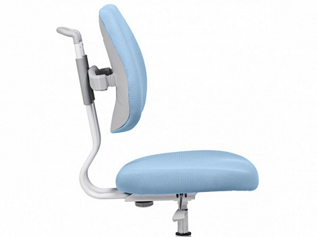 Анатомическая форма