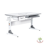 Парта Anatomica Study-120 белый/серый