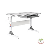 Растущая парта Anatomica Study-100 белый/серый