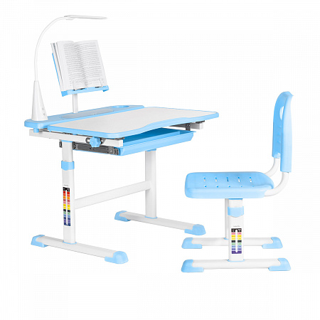 1. Anatomica Avgusta со светильником