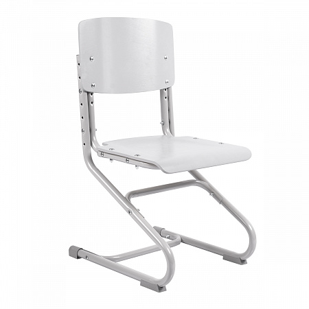 1. Ergo Chair