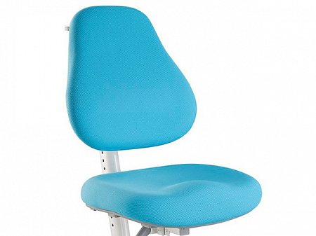 Анатомическая форма