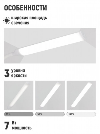 Светильник настольный Anatomica Smart-318