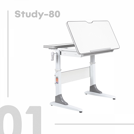 1. Anatomica Study-80